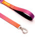 Imagen de CORREA SPEED TALLE S - CACHORREIROS