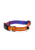 Imagen de COLLAR SPEED TALLE M - CACHORREIROS