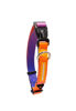 Imagen de COLLAR SPEED TALLE M - CACHORREIROS