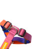 Imagen de ARNES H SPEED TALLE S - CACHORREIROS