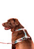 Imagen de ARNES H FLORAL TALLE S - CACHORREIROS