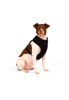 Imagen de ARNES FLOW BLACK TALLE S - CACHORREIROS