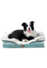 Imagen de Cama Ortopédica Baylor Talle S
