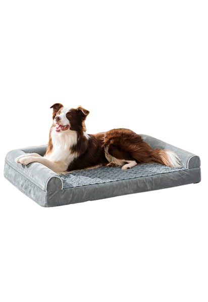 Imagen de Cama Ortopédica Mieux Pet para Perro Talle L