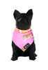 Imagen de Bandana Savage - Talle P