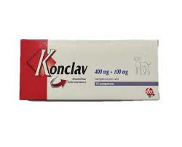 Imagen de KONCLAV 500MG 10 COMP BLISTER
