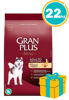 Imagen de GRAN PLUS DOG ADULTO 20+2KG (FRACCIONADOS)  POLLO Y ARROZ