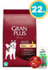 Imagen de GRAN PLUS DOG ADULTO 20+2KG (FRACCIONADOS)  POLLO Y ARROZ