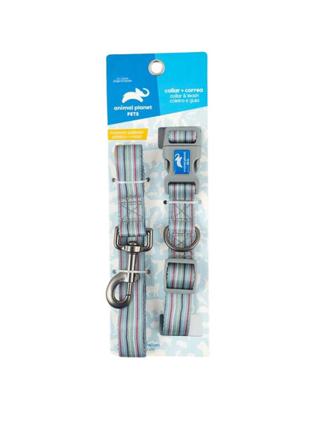 Imagen de Collar + Correa Talle XL