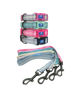 Imagen de Collar + Correa Talle XL