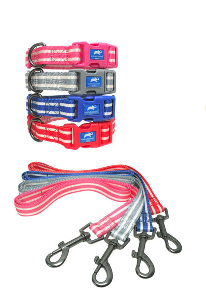 Imagen de COLLAR + CORREA P/MASCOTAS L Animal Planet