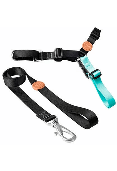 Imagen de ARNES ANTITIRONES + CORREA TOH TALLE G NEGRO