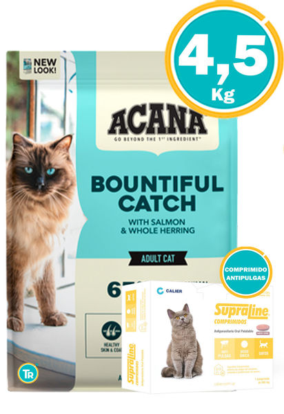 Imagen de ACANA BOUNTIFUL CATCH GATO ADULTO 4,5KG + PIPETA