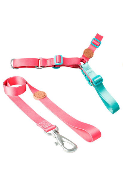 Imagen de ARNES ANTITIRONES + CORREA TOH TALLE G ROSA