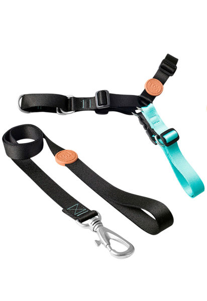 Imagen de ARNES ANTITIRONES + CORREA TOH TALLE M NEGRO