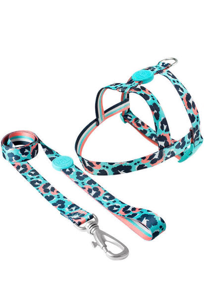 Imagen de ARNES BASICO + CORREA TOH TALLE M SAVANA