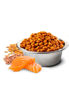 Imagen de ALIMENTO NYD PERRO ADULTO TROPICAL MED/MAXI 2.5KG (SALMON)