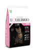 Imagen de EQUILIBRIO Gatito 1,5 kg