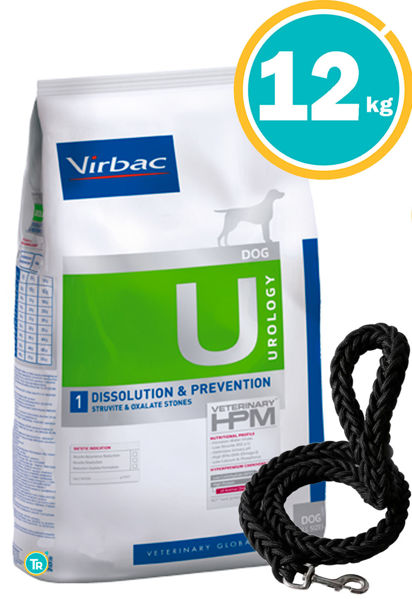 Imagen de HPM VIRBAC DOG UROLOGY D&P 12KG + Correa trenzada