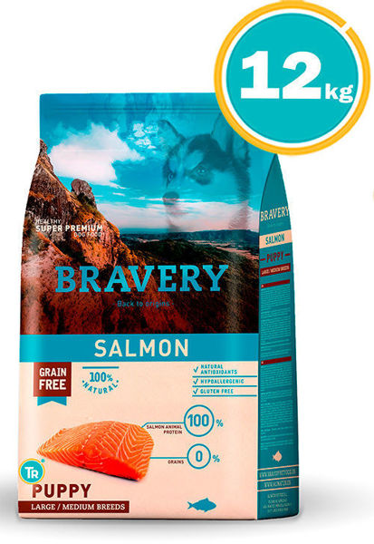 Imagen de BRAVERY CACHORRO GRANDE/MED SALMON 12KG