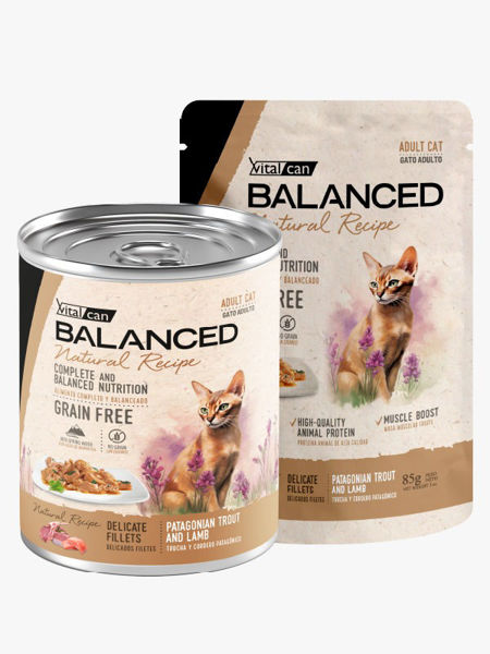 Imagen de SALSA NATURAL RECIPE TRUCHA Y CORDERO GATO ADULTO 340G