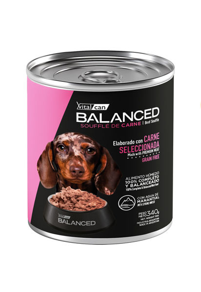 Imagen de Salsa BALANCED SOUFFLÉ de Carne Perro Cachorro - 340G