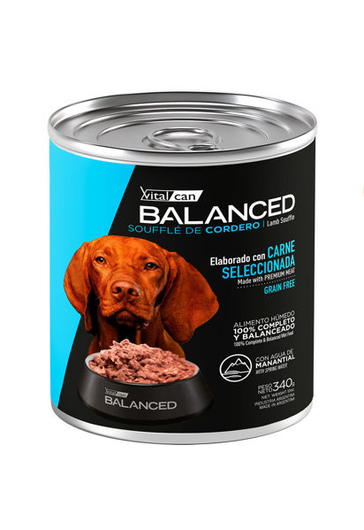 Imagen de Salsa BALANCED SOUFFLÉ de Cordero Perro Adulto - 340G