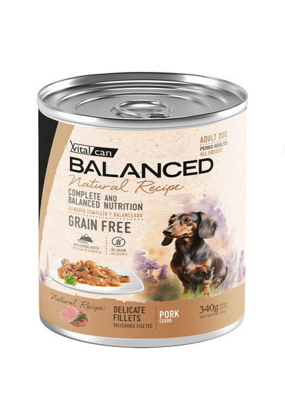 Imagen de Salsa NATURAL RECIPE Filetes de Cerdo Perro adulto - 340G