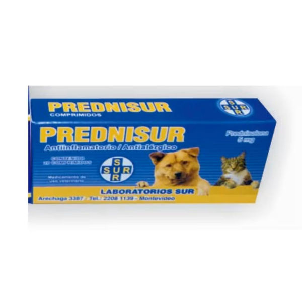 Imagen de PREDNISUR 5GM BLISTER 10 COMPRIMIDOS