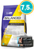 Imagen de BALANCED Gato Control PH Urinario 7,5 kg