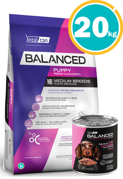Imagen de BALANCED Perro Cachorro Razas Medianas 20 kg