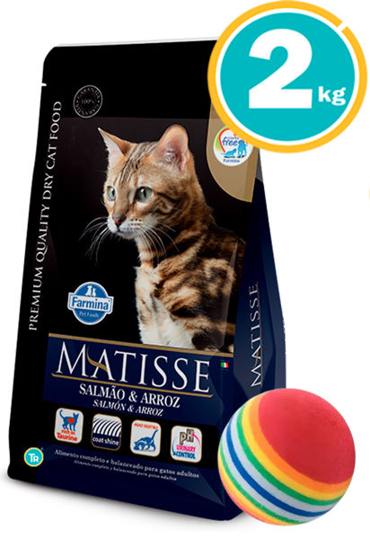 Imagen de MATISSE Gato Salmón y Arroz 2 kg + Pelota