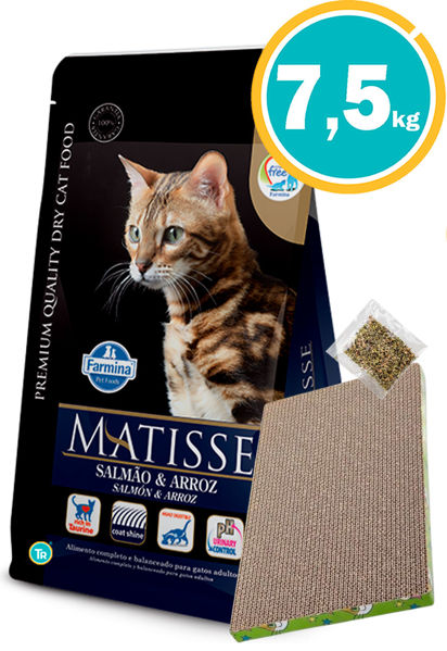 Imagen de MATISSE Gato Salmón y Arroz 7,5kg + Rascador