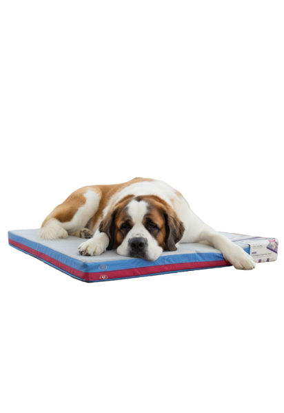 Imagen de Colchoneta Frío/Calor Grande