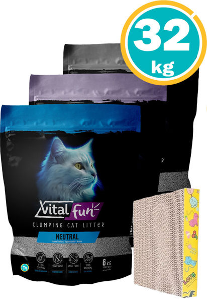 Imagen de SANITARIO AGLOMERANTE VITALFUN ARENA  24kg varios aromas + rascador mini