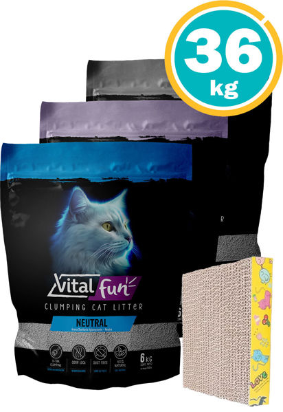 Imagen de SANITARIO AGLOMERANTE VITALFUN ARENA  36kg varios aromas + rascador mini