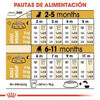 Imagen de Royal Canin Cachorro Bulldog Francés 3kg