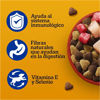 Imagen de PEDIGREE Perro Adulto Carne, Pollo y Cereales 21+ 3 Kg + Biscrok