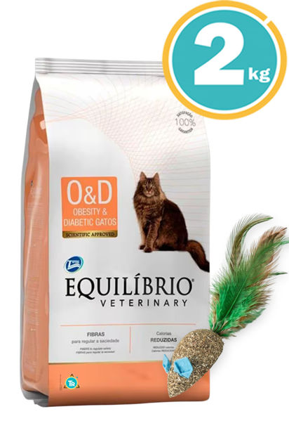 Imagen de EQUILIBRIO Gato Feline Obesity & Diabetic 2 kg