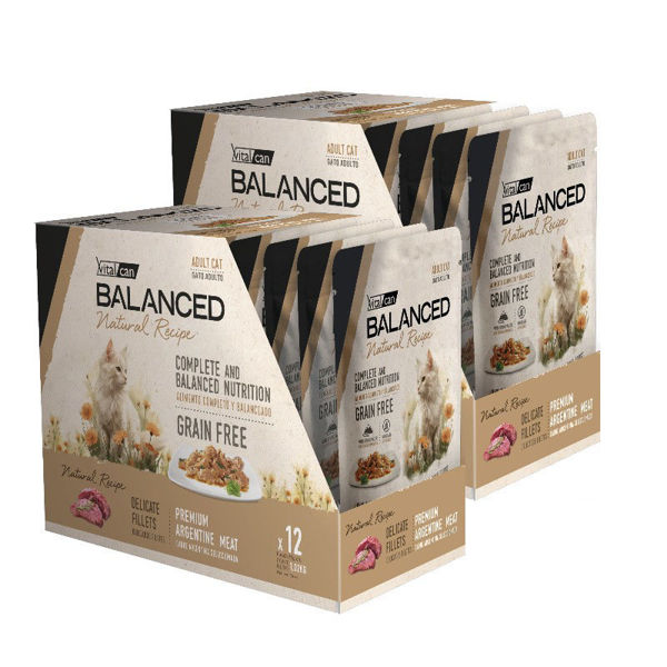 Imagen de SALSA BALANCED GATO ADULTO FILETES CARNE 85GR KIT 24