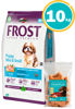 Imagen de FROST Cachorro Raza pequeña 10 kg + Galleta gran plus