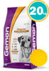 Imagen de GEMON Alimento Perro Regular 20kg