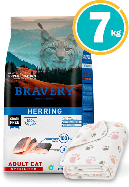 Imagen de Bravery Gato Castrado ARENQUE 7kg + Manta AlliSandro
