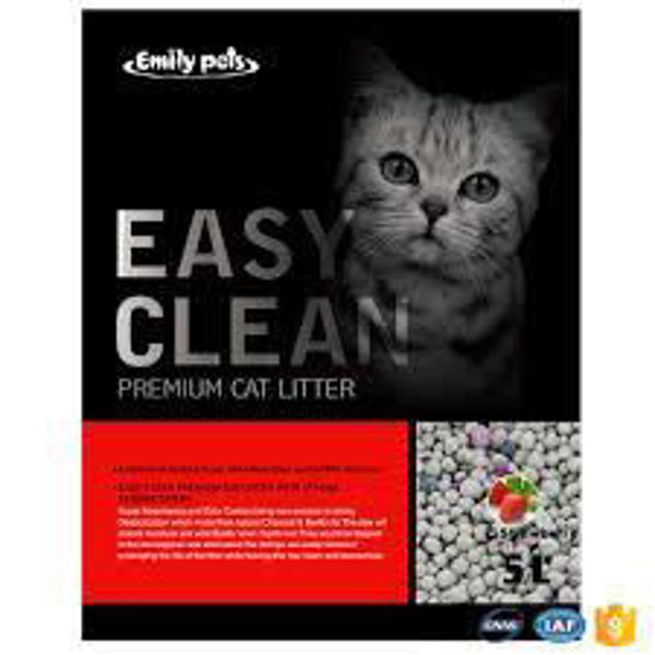 Imagen de SANITARIO EASY CLEAN ESFERAS FRUTILLA 10L (8KG)